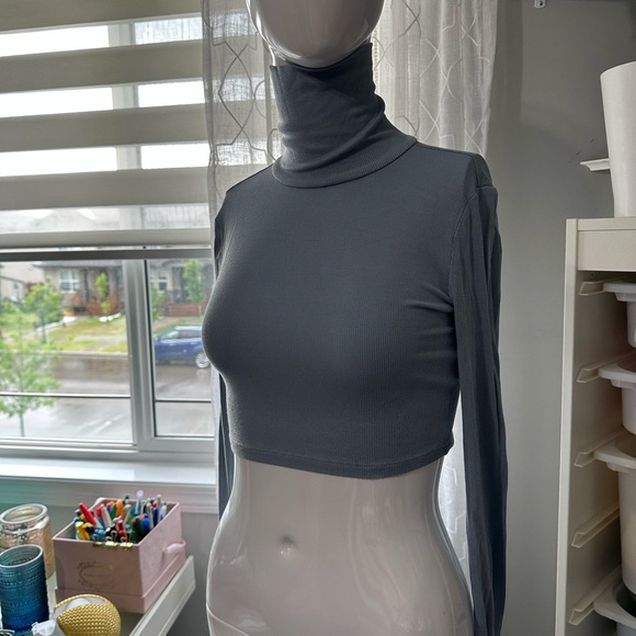 Aritzia Gray Long Sleeve Fitted Crop Top - Picture 1 of 2